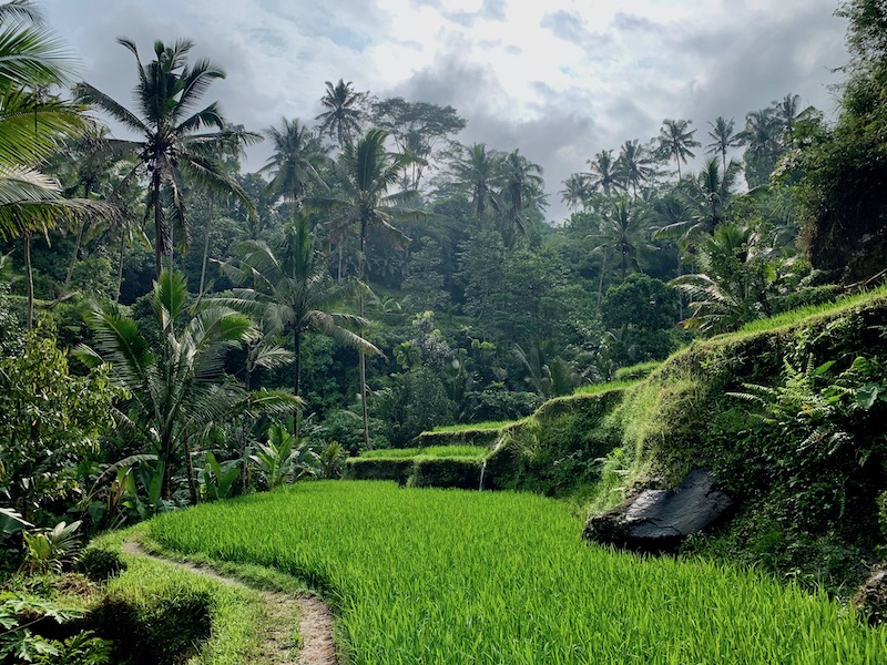 Bali-Temple Yoga Teacher Training Goa